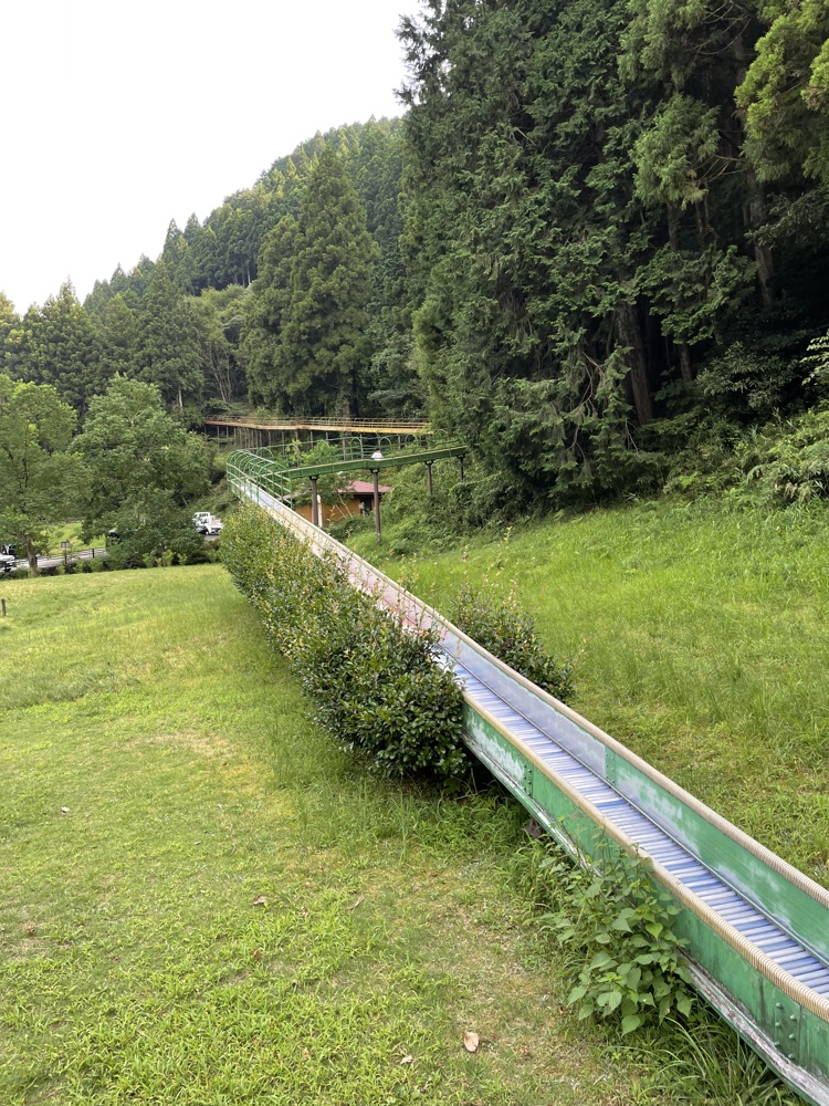 高井友暉